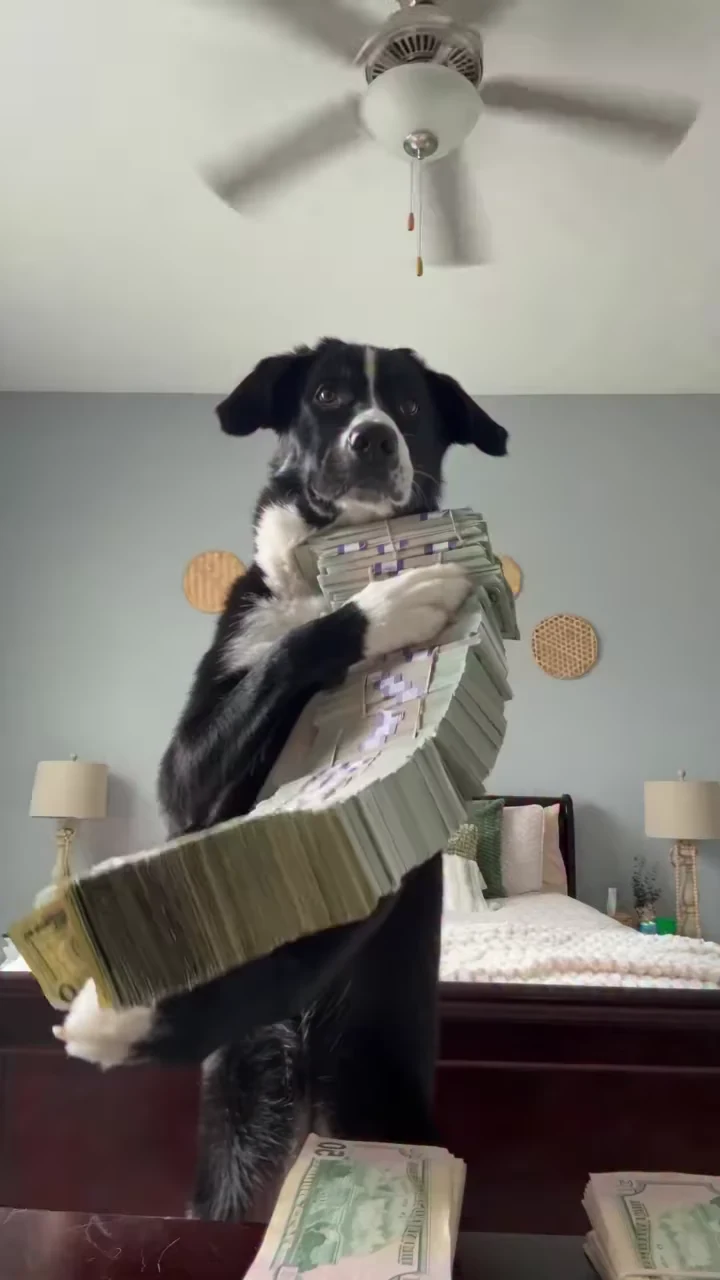 The roles in the Cash Flex reference recreation